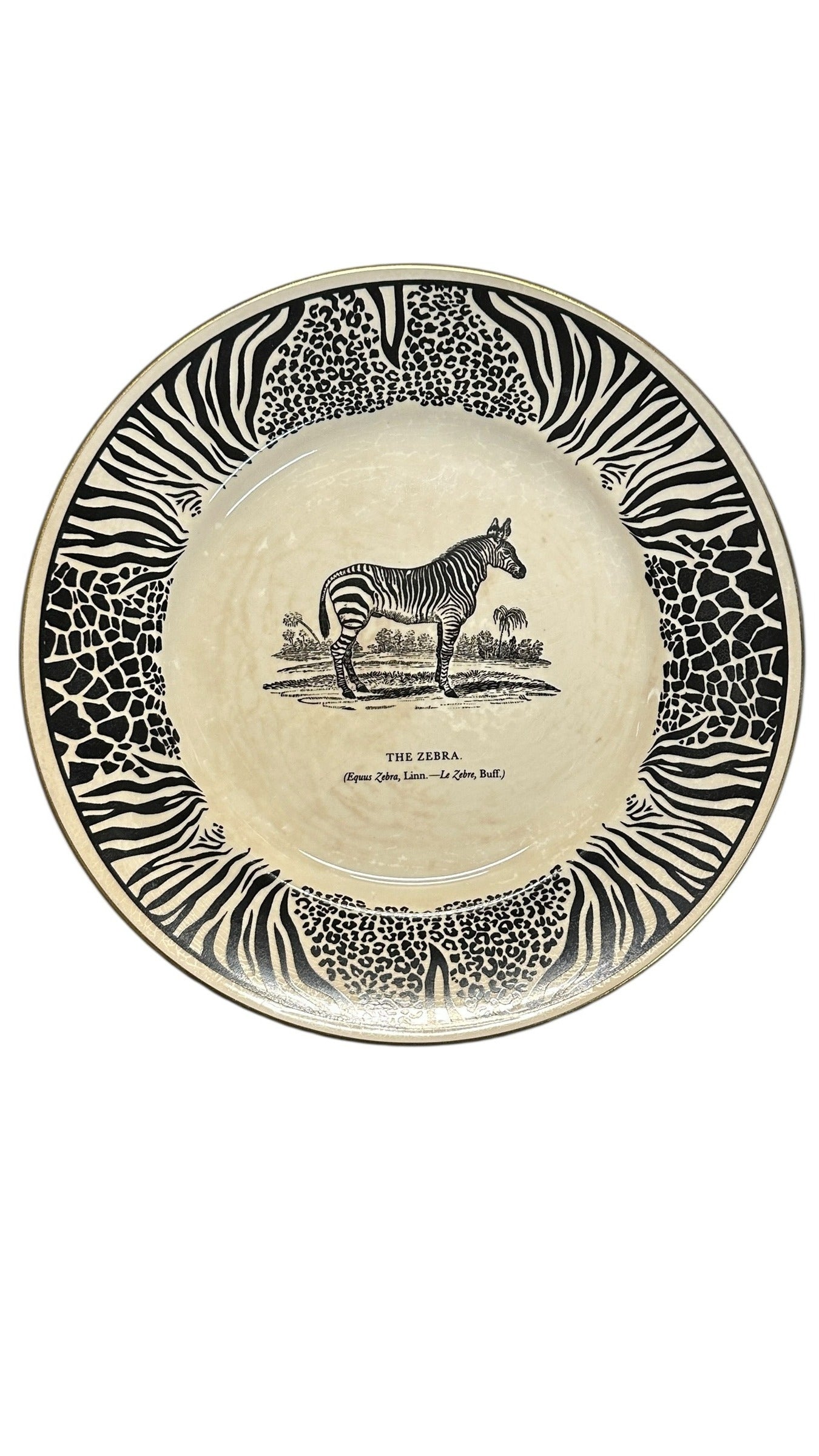 Vintage Prinknash Abbey BEWICK'S BEASTES Zebra Plate by Clifford Richards 8.5" English Pottery Animal Print Wall Decor
