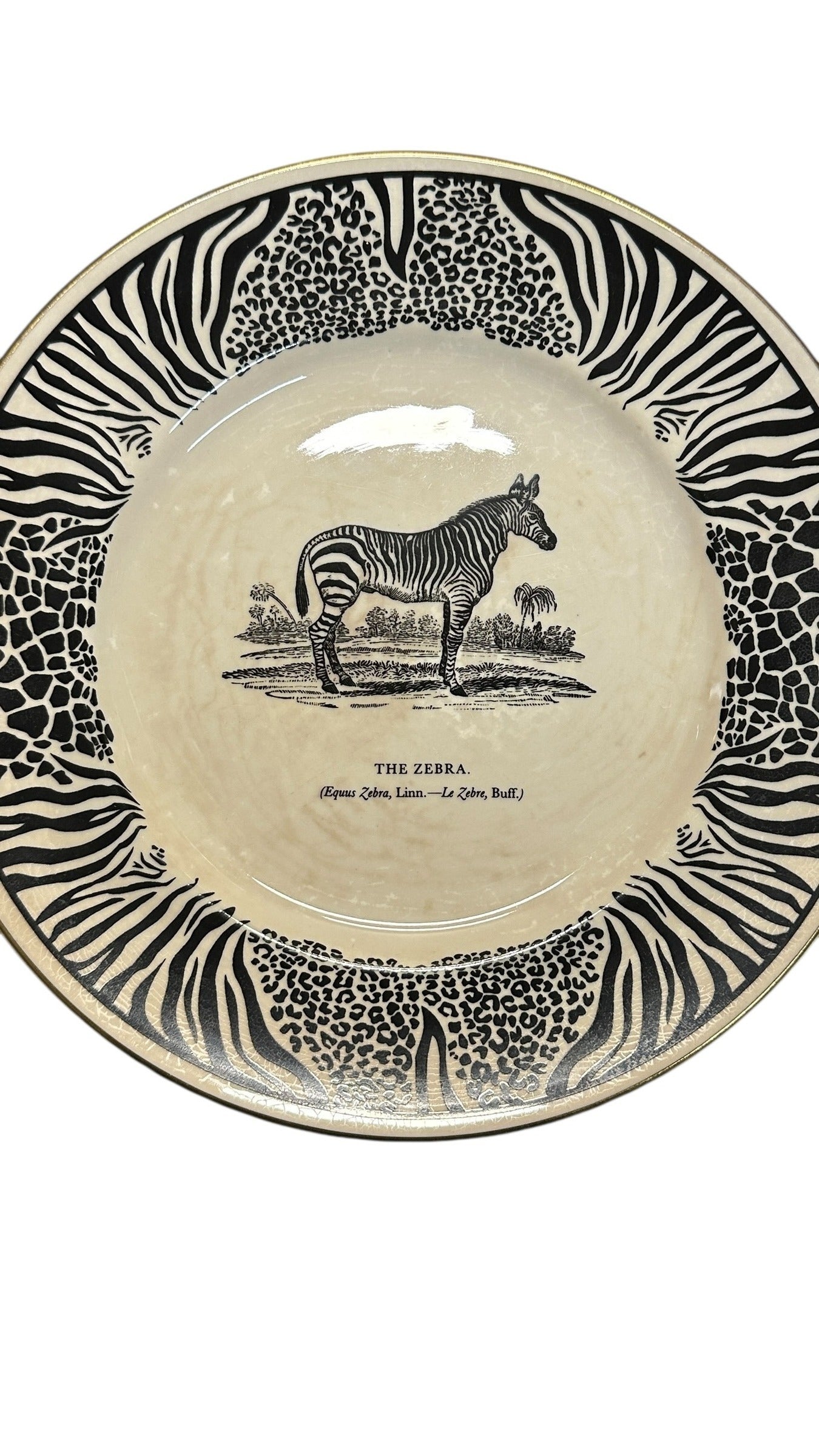 Vintage Prinknash Abbey BEWICK'S BEASTES Zebra Plate by Clifford Richards 8.5" English Pottery Animal Print Wall Decor
