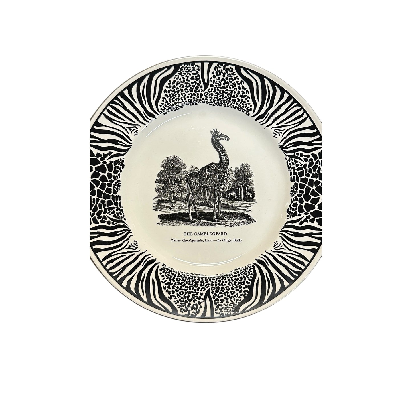 Vintage Clifford Richards for Abbey Pottery Bewick's Bestiary Plate THE CAMELEOPARD Giraffe Animal Print Maximalist English Ceramic