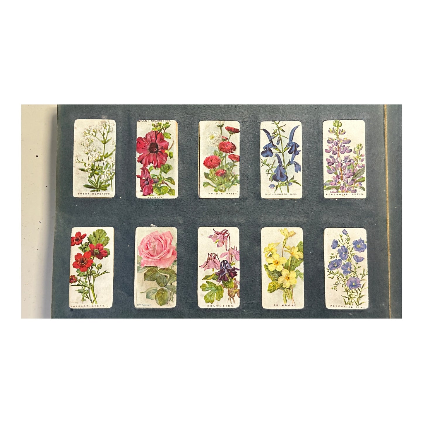 Antique Wills's Cigarette Card Album c. 1910s Heraldry & First Aid Cards