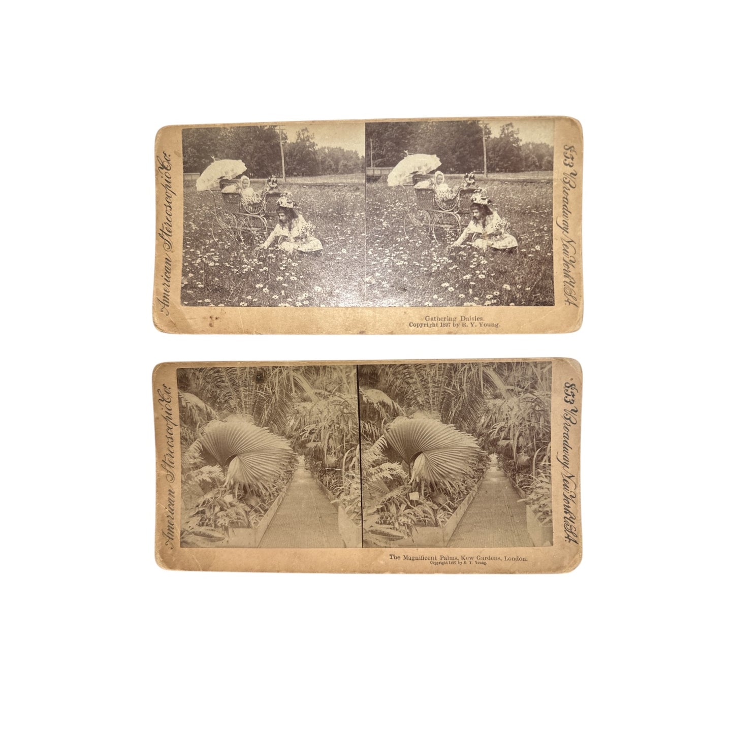 Antique Stereoscope Card Lot c. 1901 American Stereoscopic Co. Yellowstone